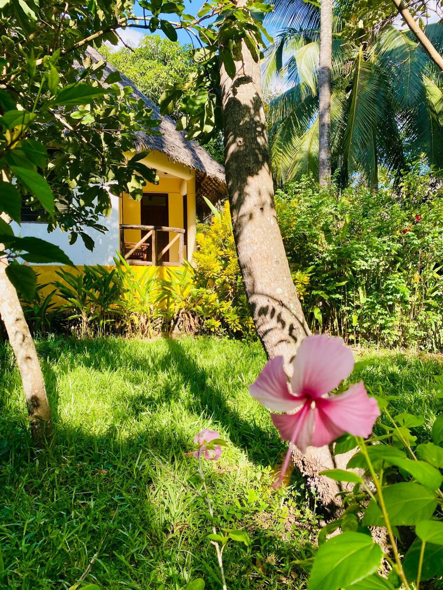 Mangrove Lodge Zanzibar Екстериор снимка