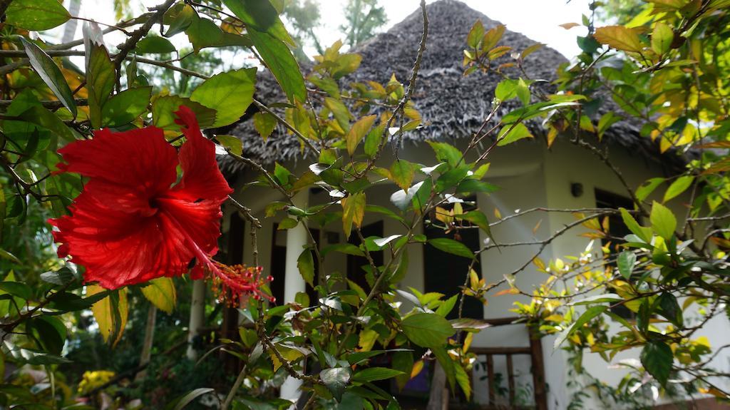 Mangrove Lodge Zanzibar Стая снимка