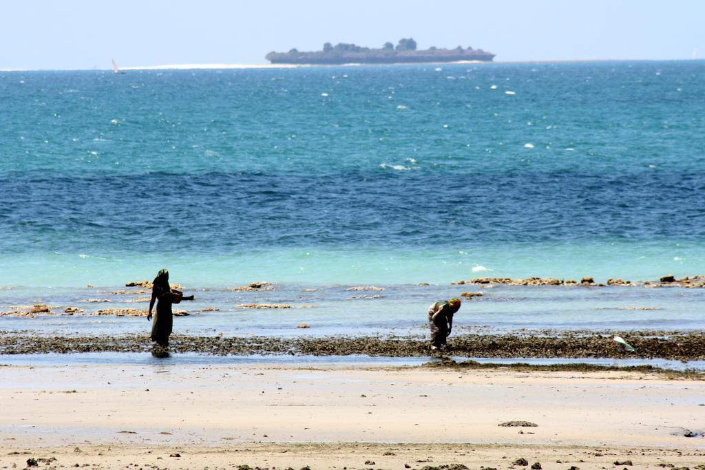 Mangrove Lodge Zanzibar Екстериор снимка