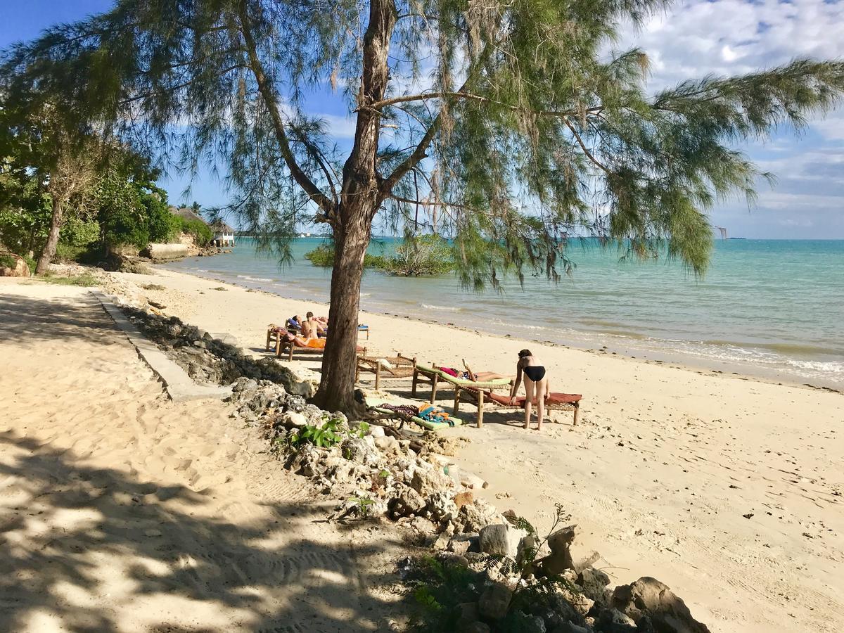 Mangrove Lodge Zanzibar Екстериор снимка