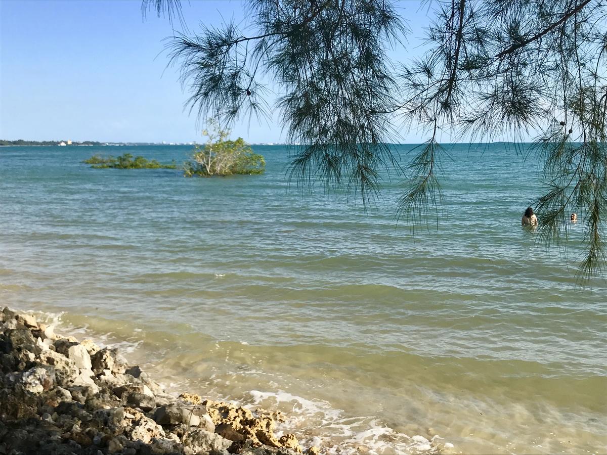 Mangrove Lodge Zanzibar Екстериор снимка